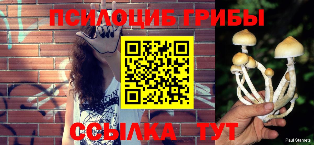 Майкоп  где можно купить   Вход с VPN  Галлюциногенные грибы Cubensis  Псилоцибиновые грибы GOLDEN TEACHER 